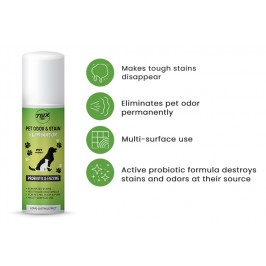 TWX® Home Pet Odor & Stain Eliminator 