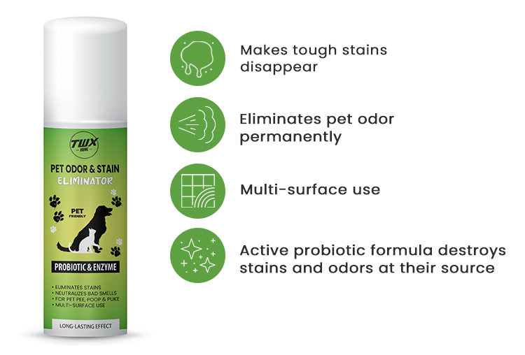 TWX® Home Pet Odor & Stain Eliminator 