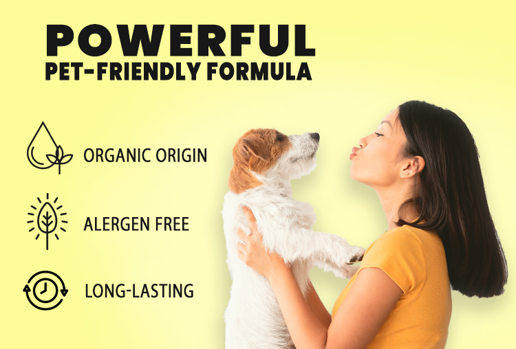 TWX® Home Pet Odor & Stain Eliminator 