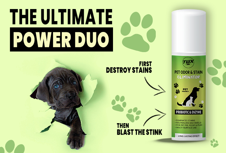 Pet Odor Remover Odor Usb Rechargeable Odor Eliminator - Temu