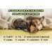 TWX® Home Pet Odor & Stain Eliminator 